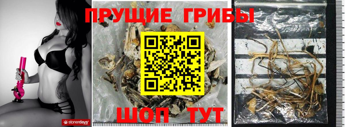 Орехово-Зуево  наркотики  Псилоцибиновые грибы прущие грибы  Вход с VPN  Псилоцибиновые грибы прущие грибы 
