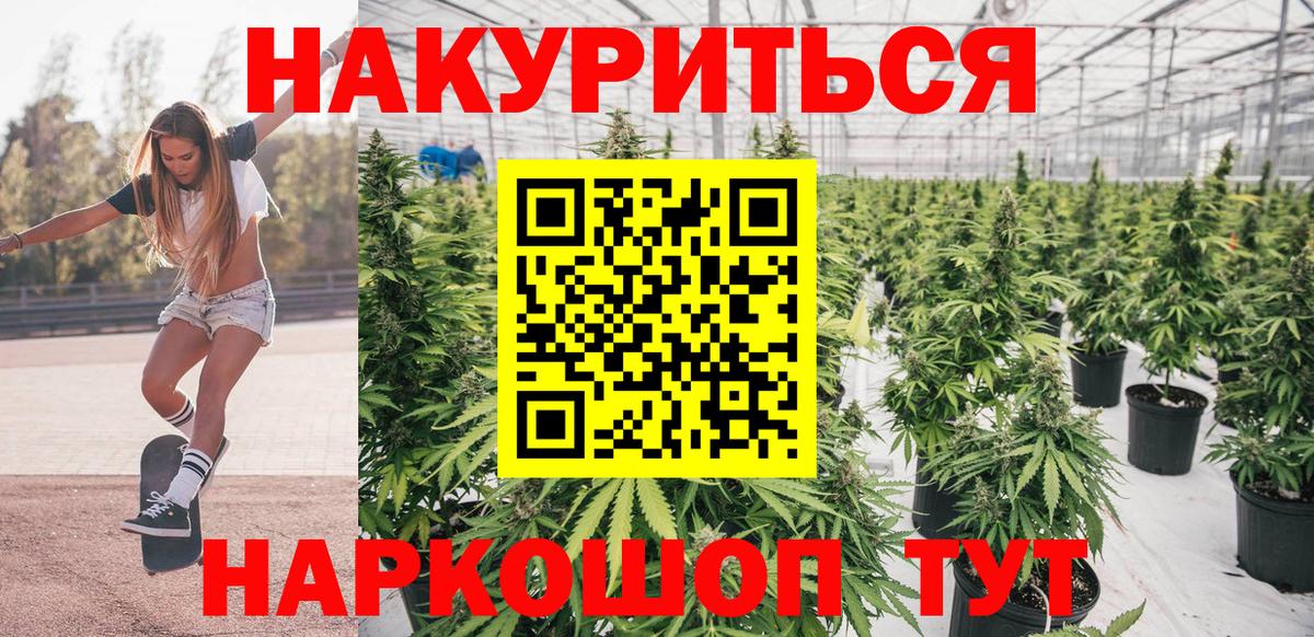 Орехово-Зуево  Каннабис гибрид  Канабис планчик  Конопля планчик  Вход с VPN  Марихуана конопля 